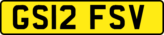 GS12FSV