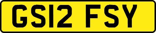 GS12FSY