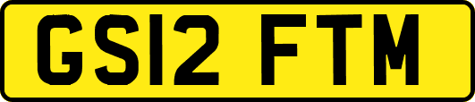 GS12FTM