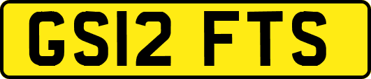 GS12FTS