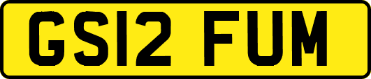 GS12FUM