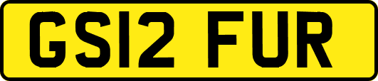 GS12FUR