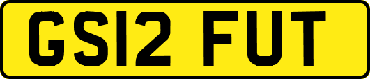 GS12FUT