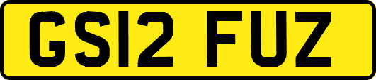GS12FUZ