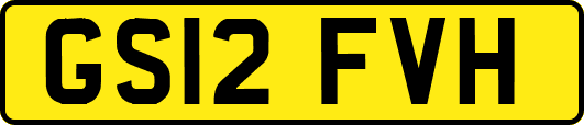 GS12FVH