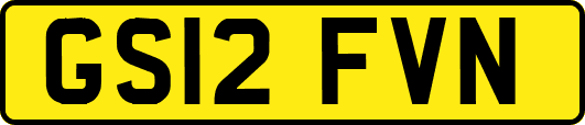 GS12FVN