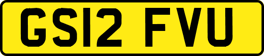GS12FVU