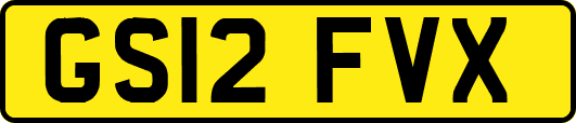 GS12FVX