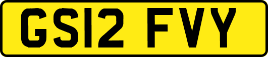 GS12FVY