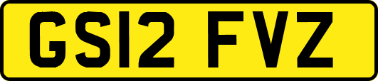 GS12FVZ