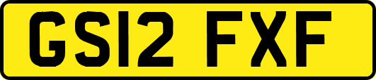 GS12FXF