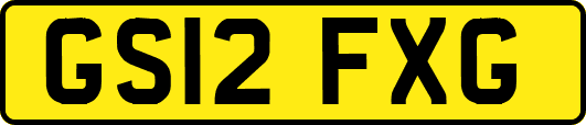 GS12FXG