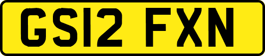 GS12FXN