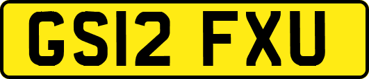 GS12FXU