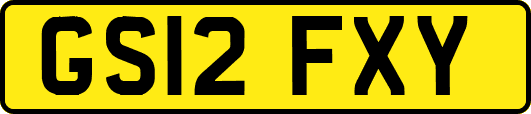 GS12FXY
