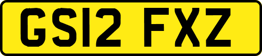 GS12FXZ