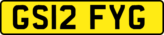 GS12FYG