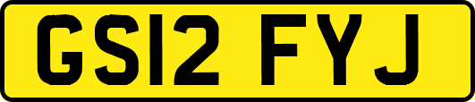 GS12FYJ