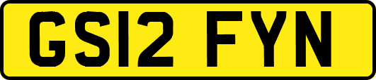GS12FYN