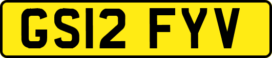 GS12FYV