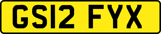 GS12FYX