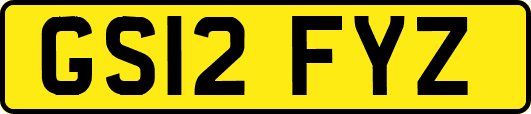 GS12FYZ