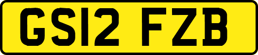 GS12FZB