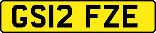 GS12FZE