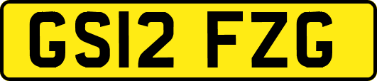 GS12FZG