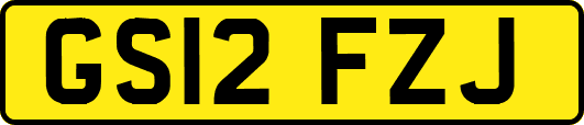 GS12FZJ