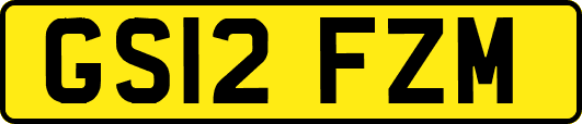 GS12FZM
