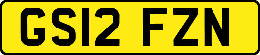 GS12FZN