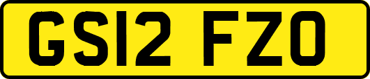 GS12FZO