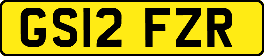 GS12FZR