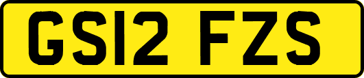 GS12FZS