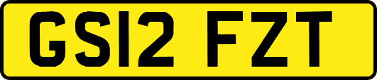 GS12FZT