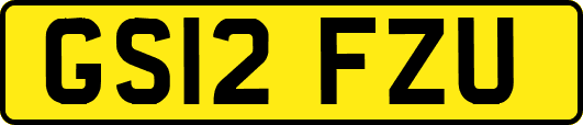 GS12FZU