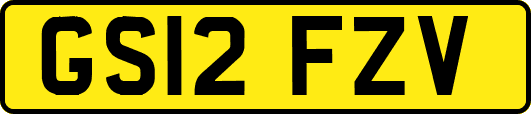 GS12FZV