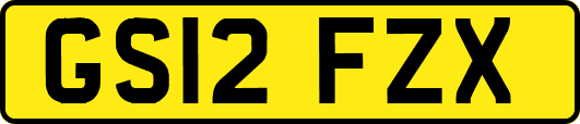 GS12FZX