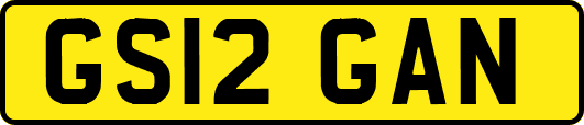 GS12GAN