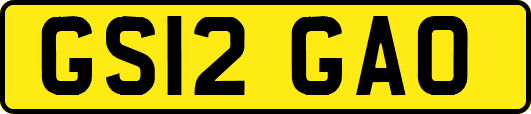 GS12GAO
