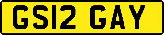 GS12GAY