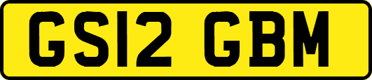 GS12GBM