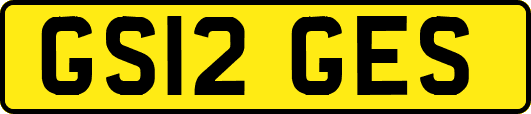 GS12GES