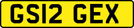 GS12GEX