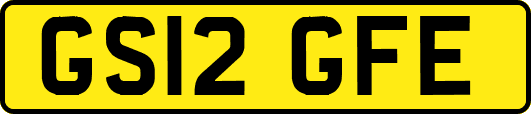 GS12GFE