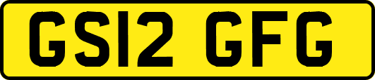GS12GFG