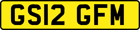 GS12GFM