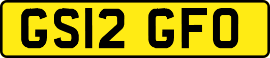 GS12GFO