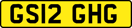 GS12GHG